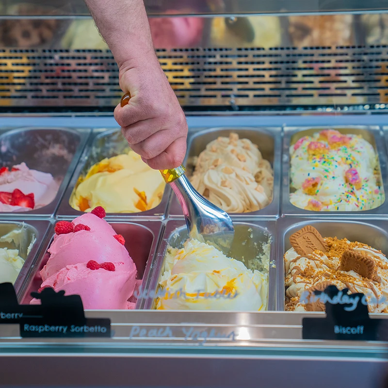 18 Flavours of icecream at Ernespie Farm in Castle Douglas